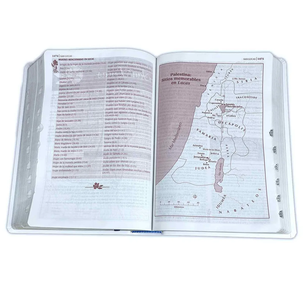 SOCIEDADES BIBLICAS UNIDAS - Biblia de Estudio  Ser Mujer Reina Valera 1960