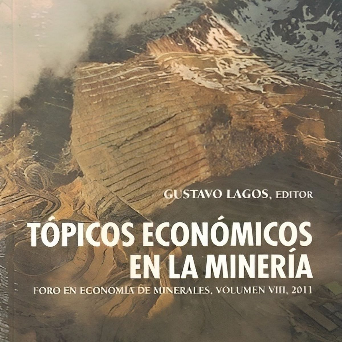 TOP10BOOKS - LIBRO Tópicos Económicos En La Minería - GUSTAVO LAGOS