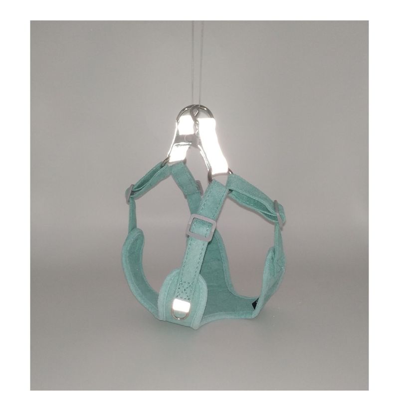 SUSU - Arnés X mascotas pequeñas Talla XS Verde Agua Correa GRATIS
