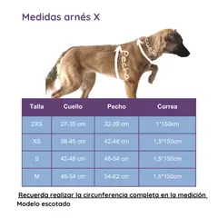 SUSU - Arnés X mascotas pequeñas Talla XS ROSA Correa GRATIS