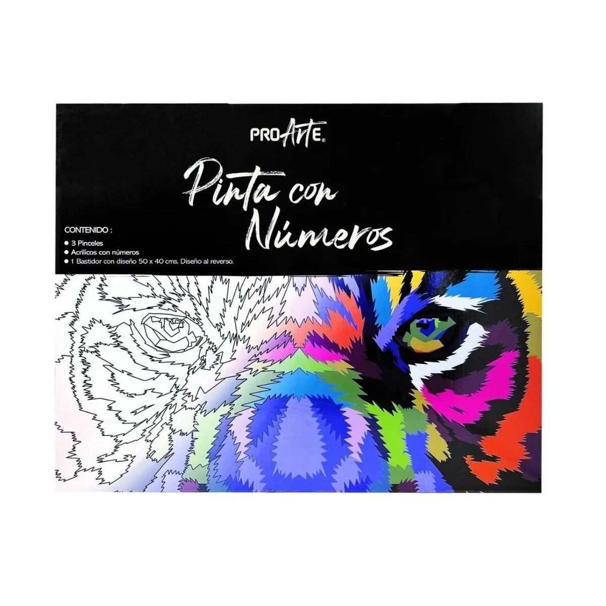 PROARTE - Set Bastidor Pinta con números 40x50 Diseño Surtido