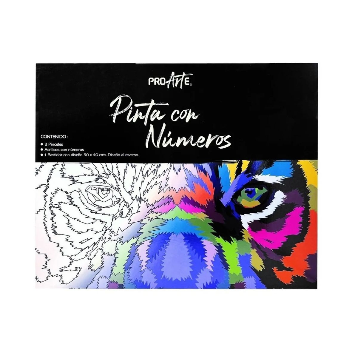 PROARTE - Set Bastidor Pinta con números 40x50 Diseño Surtido