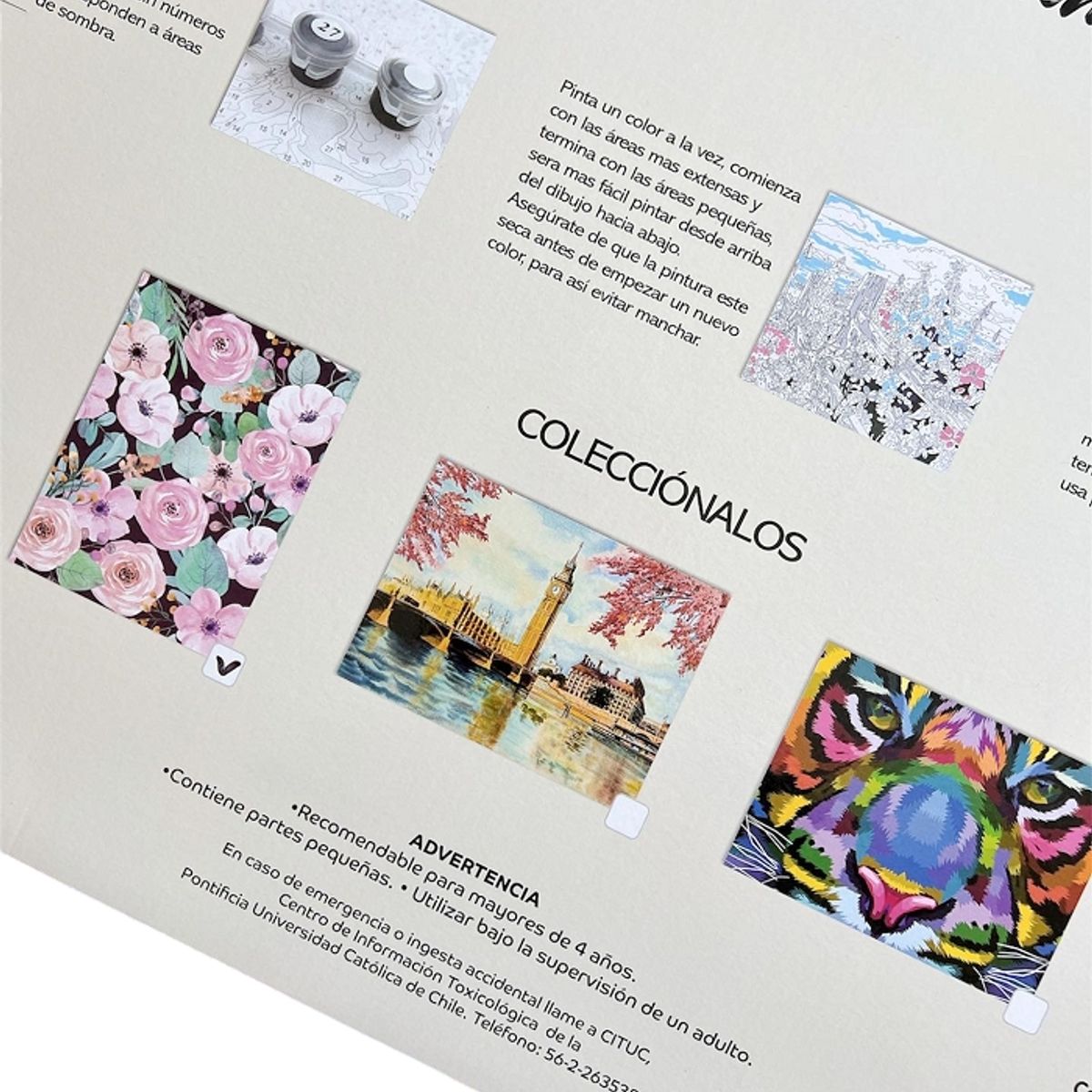 PROARTE - Set Bastidor Pinta con números 40x50 Diseño Surtido