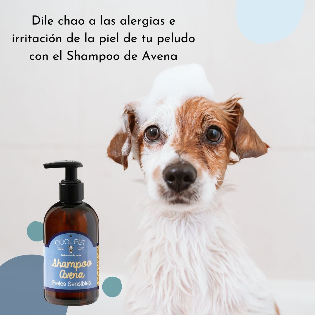COOLPET - Shampoo de Avena para Perros y Gatos