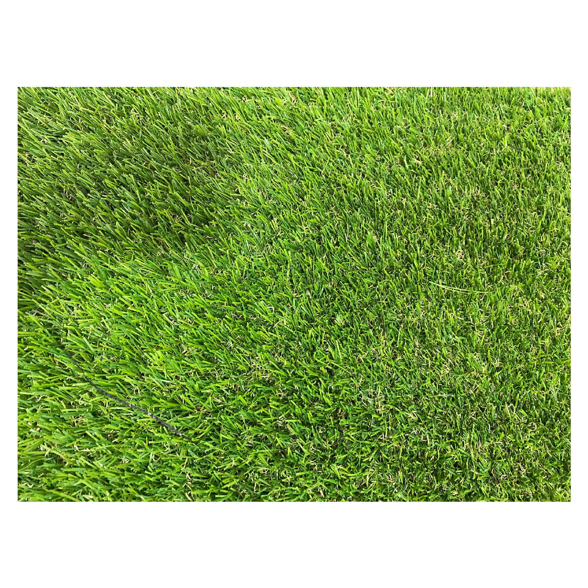 LORENZINI - Pasto Sintético Alfombra 25mm Premium 10mt2 2X5mts Ornamental