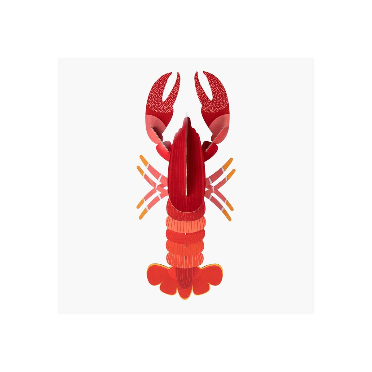 STUDIO ROOF - Langosta Gigante XL STUDIO ROOF