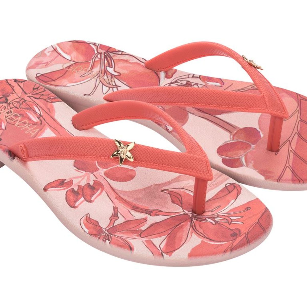 GRENDHA - Sandalia Mujer Nude Cacau Café 364 Grendha