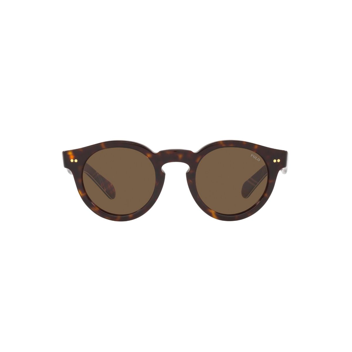 POLO - Polo Lentes de Sol PH4165 500373 46