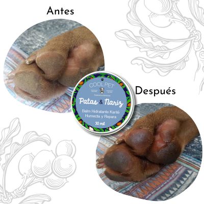Imagen 2 del producto Balm Hidratante Patas y Nariz 60ml Perros y Gatos