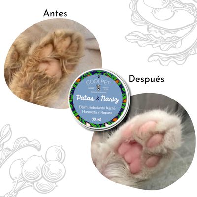 Imagen 2 del producto Balm Hidratante Patas y Nariz 30ml Perros y Gatos