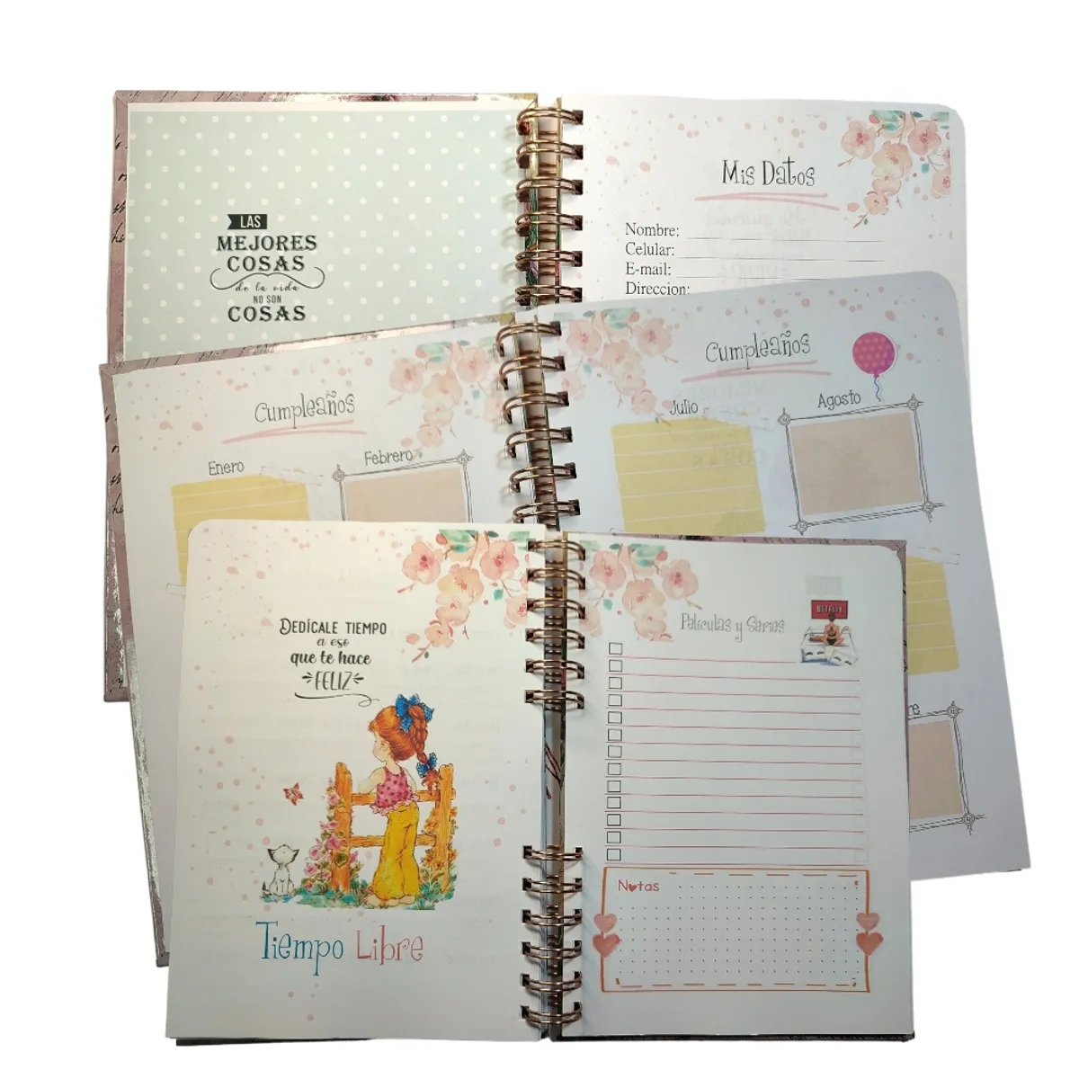 INDEPENDIENTE - Planificador Anual Sara Kay 1