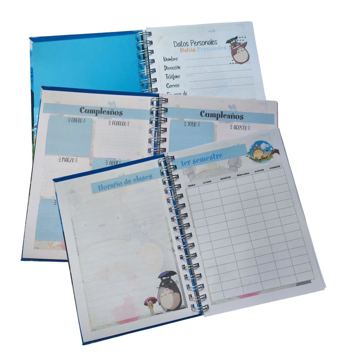 INDEPENDIENTE - Planificador Anual Anime - Totoro