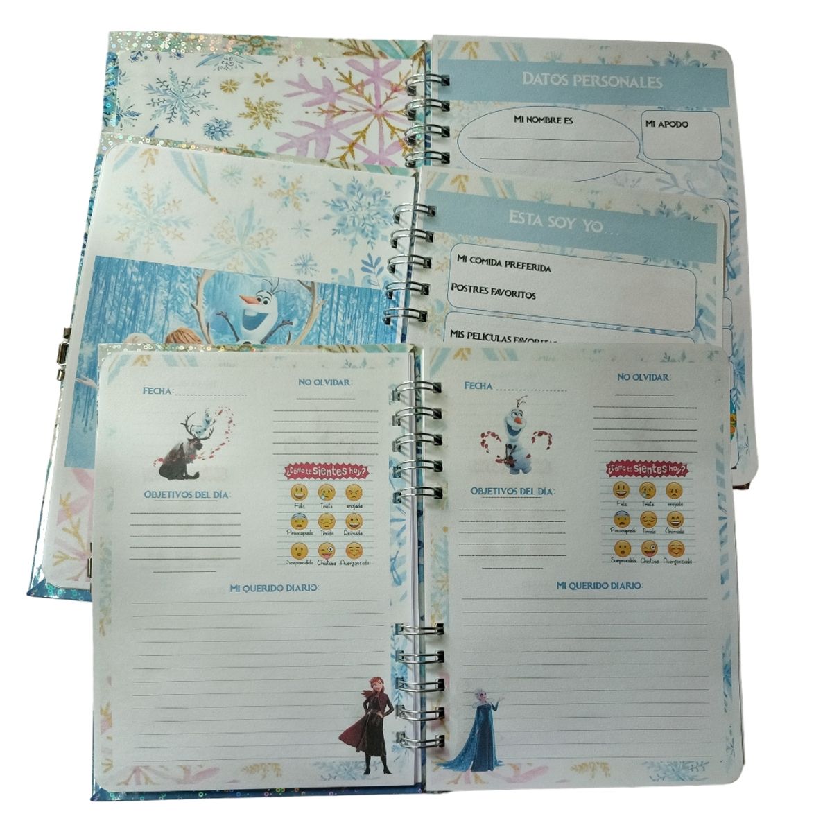 INDEPENDIENTE - Mi Primer Diario De Vida Frozen