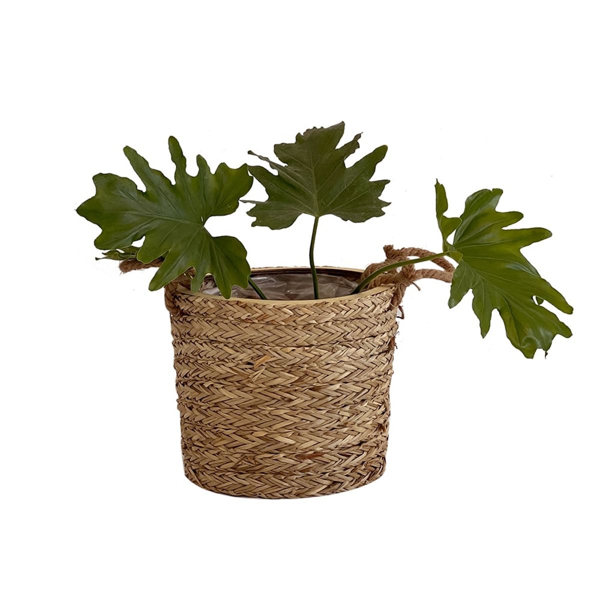 LA SILLERIA - CANASTO PUELO FIBRA NATURAL M