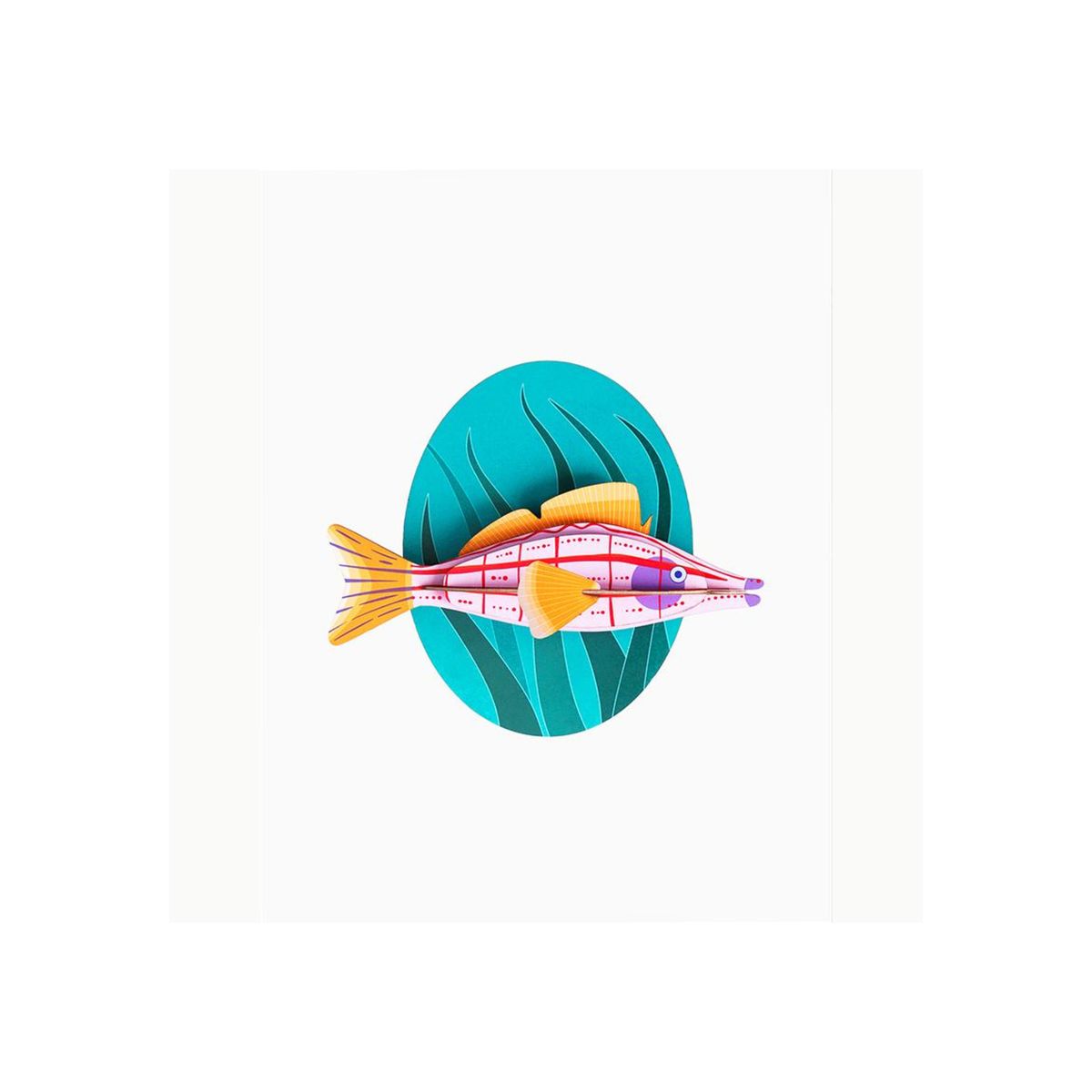 STUDIO ROOF - Gran Pez - Longnose Hawkfish STUDIO ROOF