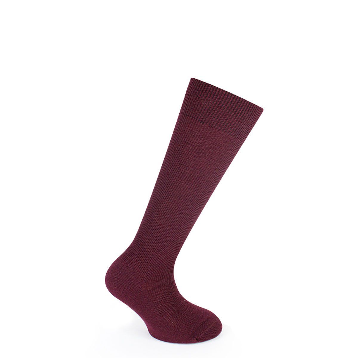 MONARCH - Calceta Dralón Escolar Burdeos Monarch
