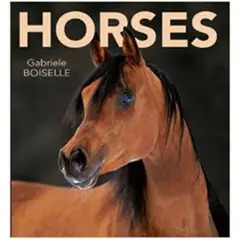 ANTARTICA LIBROS - Horses (Ed 2013)