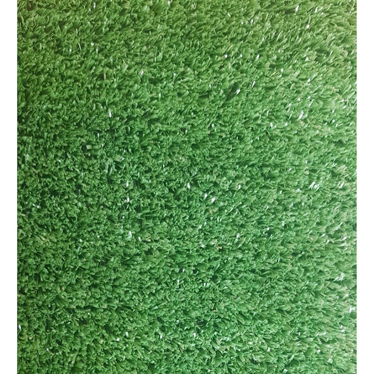 SIGNET CLASSICS - Pasto Sintetico  10 mm  2x5 Metros