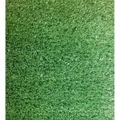 SIGNET CLASSICS - Pasto Sintetico 10 mm 2x5 Metros