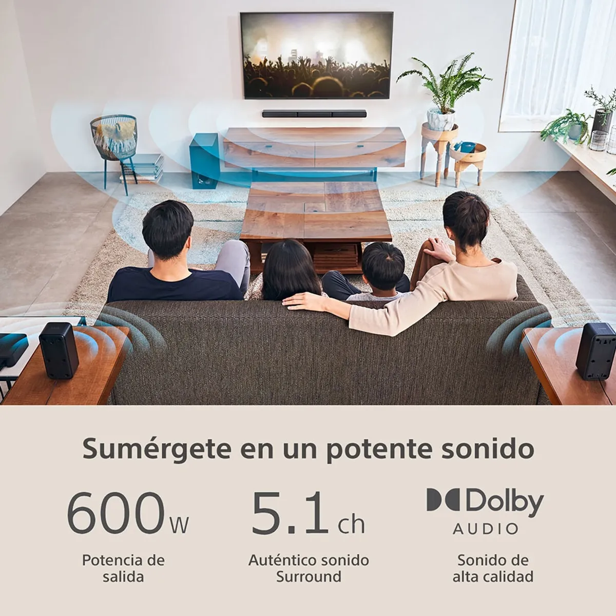 SONY - Soundbar de 5.1 canales HT-S40R