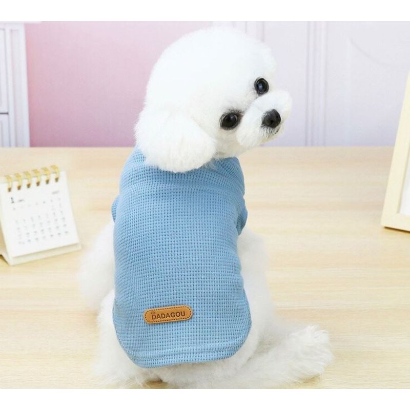 IDS - Polera Para Perro Gato Celeste Talla XL