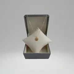 GENERICO - Cadena Collar Grumet Colgante brujula con baño de Oro 18K