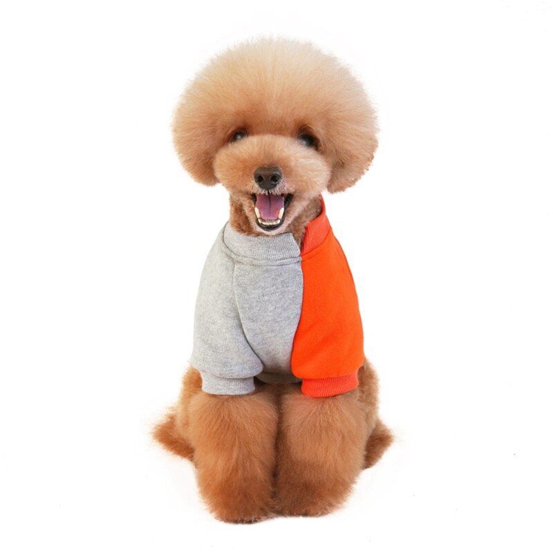 IDS - Poleron Thor Ropa Para Mascota Talla XXL