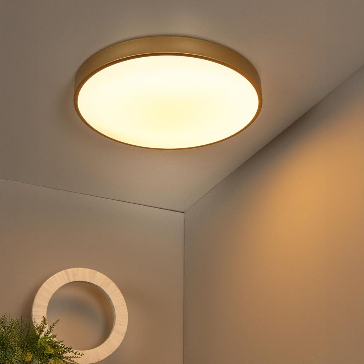 BOSCO - LAMPARA DE TECHO UNAR LED DORADO Ø50 - 36W - Dorado