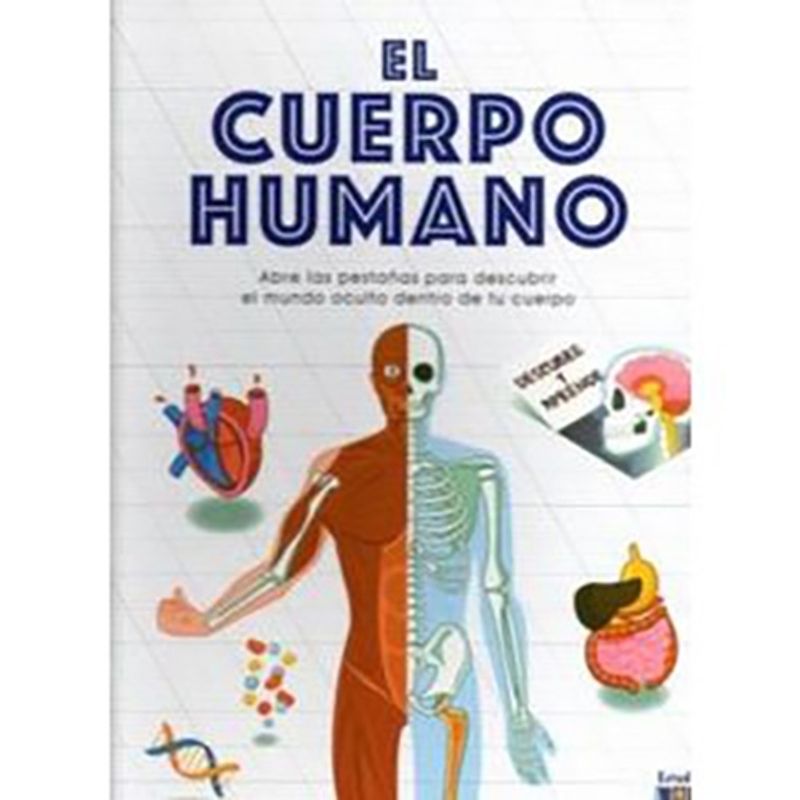 ESTUDIO DIDACTICO - El Cuerpo Humano