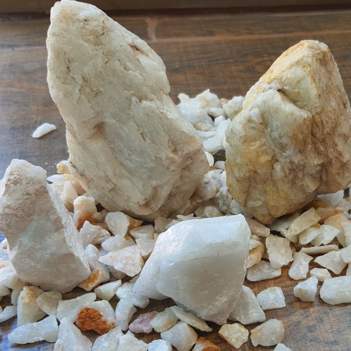 GENERICO - Bordes Separador 5 mts, Envio Gratis (Regalo 1k Cuarzo Macetero )