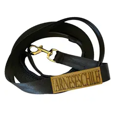 ARNESES CHILE - CORREA PROFESIONAL 5M - CINTA SEGURIDAD