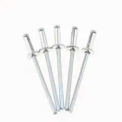 GENERICO - Remaches Ciegos De 4.0 X 12mm 1000 Unidades Toolmak Tmk19866