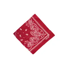 LEVIS - Bandana Hombre Paisley Rojo