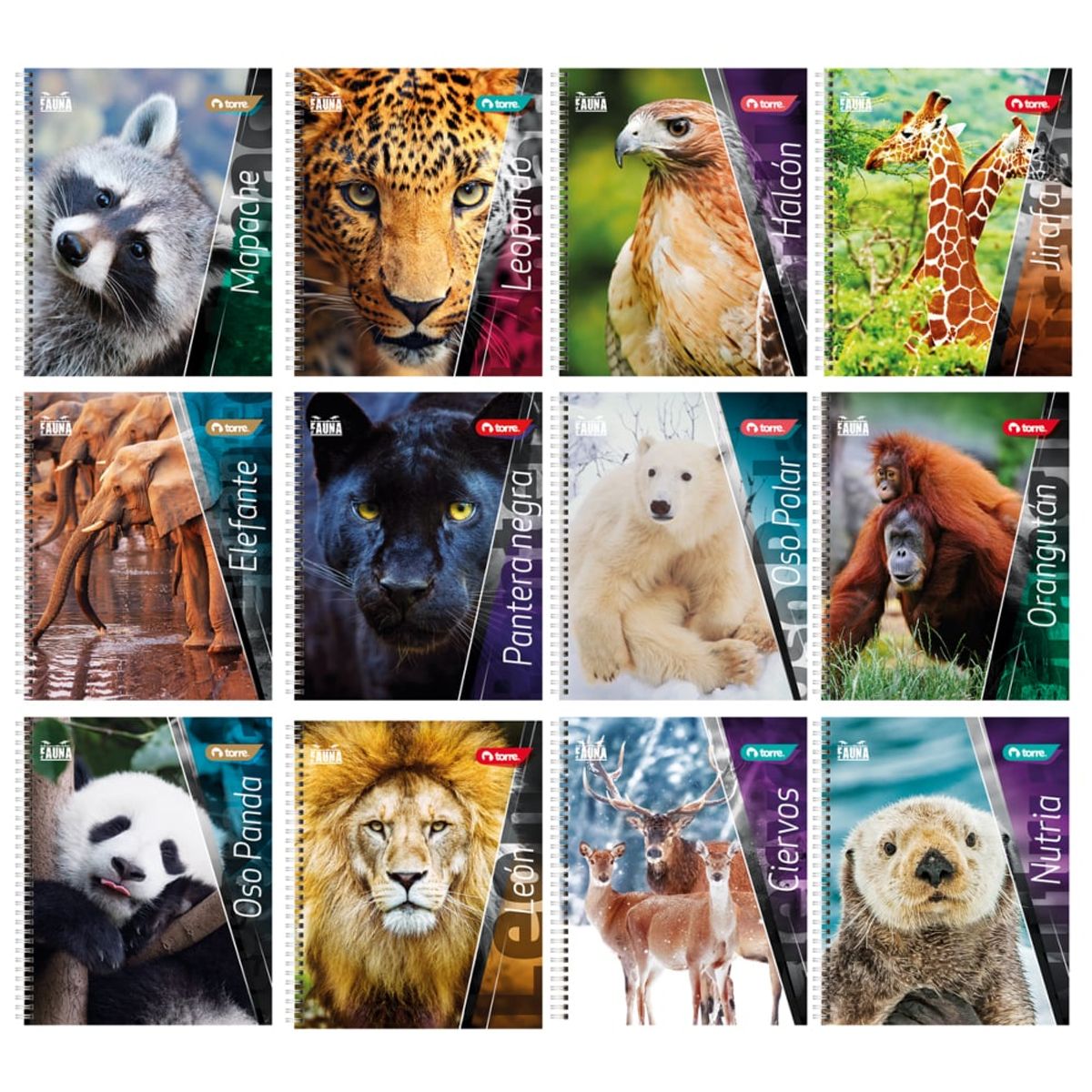 TORRE - Pack 10 Cuadernos Universitarios Torre Fauna 100 hojas