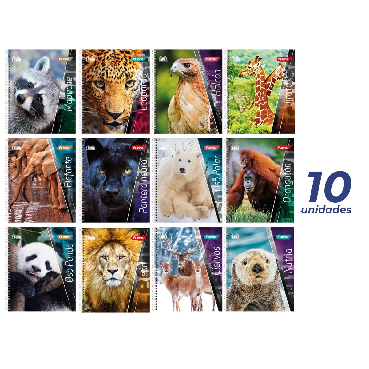 TORRE - Pack 10 Cuadernos Universitarios Torre Fauna 100 hojas