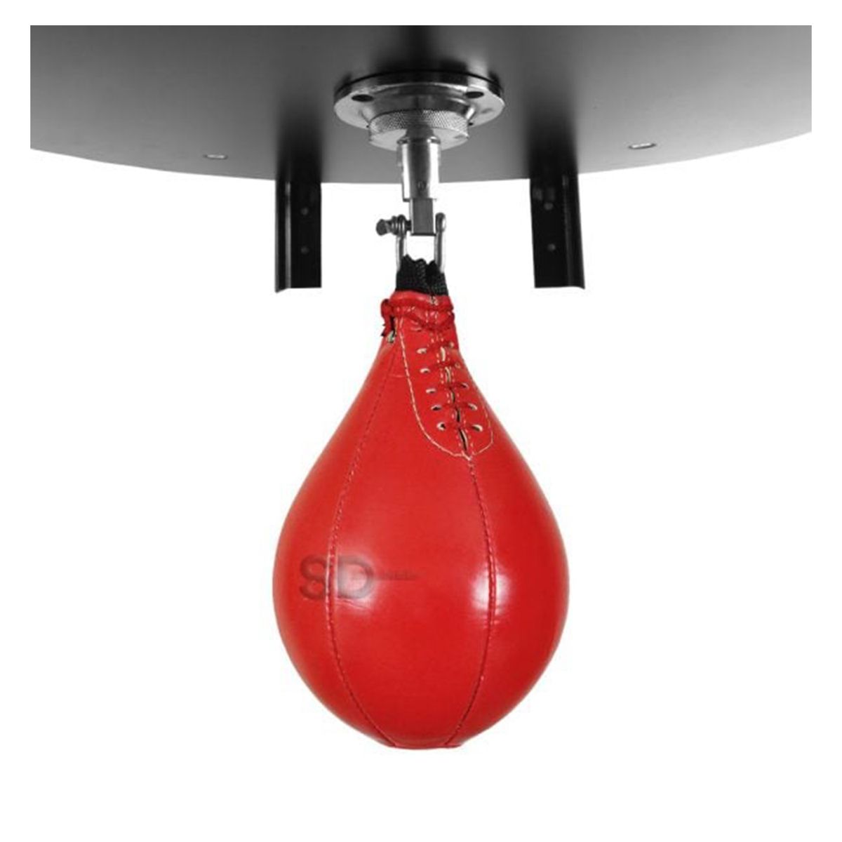 SDFIT - Plataforma profesional con pera  Box sport pionner