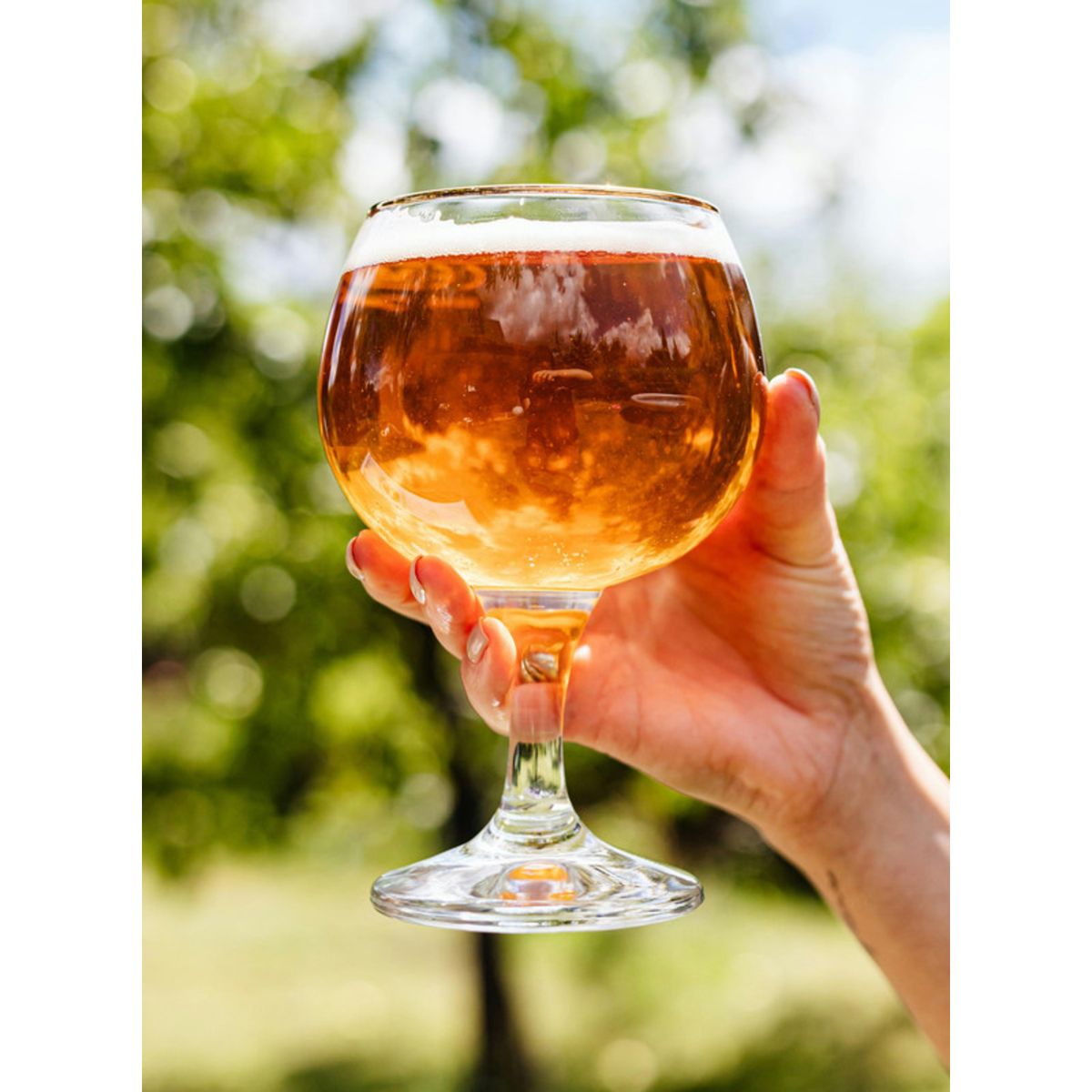 KROSS - Cerveza kross pils 24 x 330 ml 6