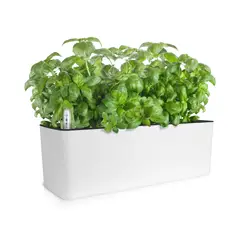 GROWLED - Macetero Autorregante rectangular 40 cms Blanco