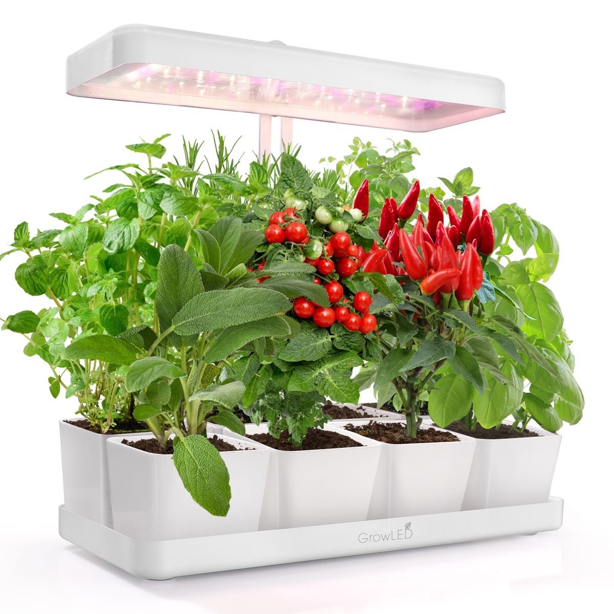 GROWLED - NATURA Huerto urbano indoor con LUZ y 8 macetas para planta interior