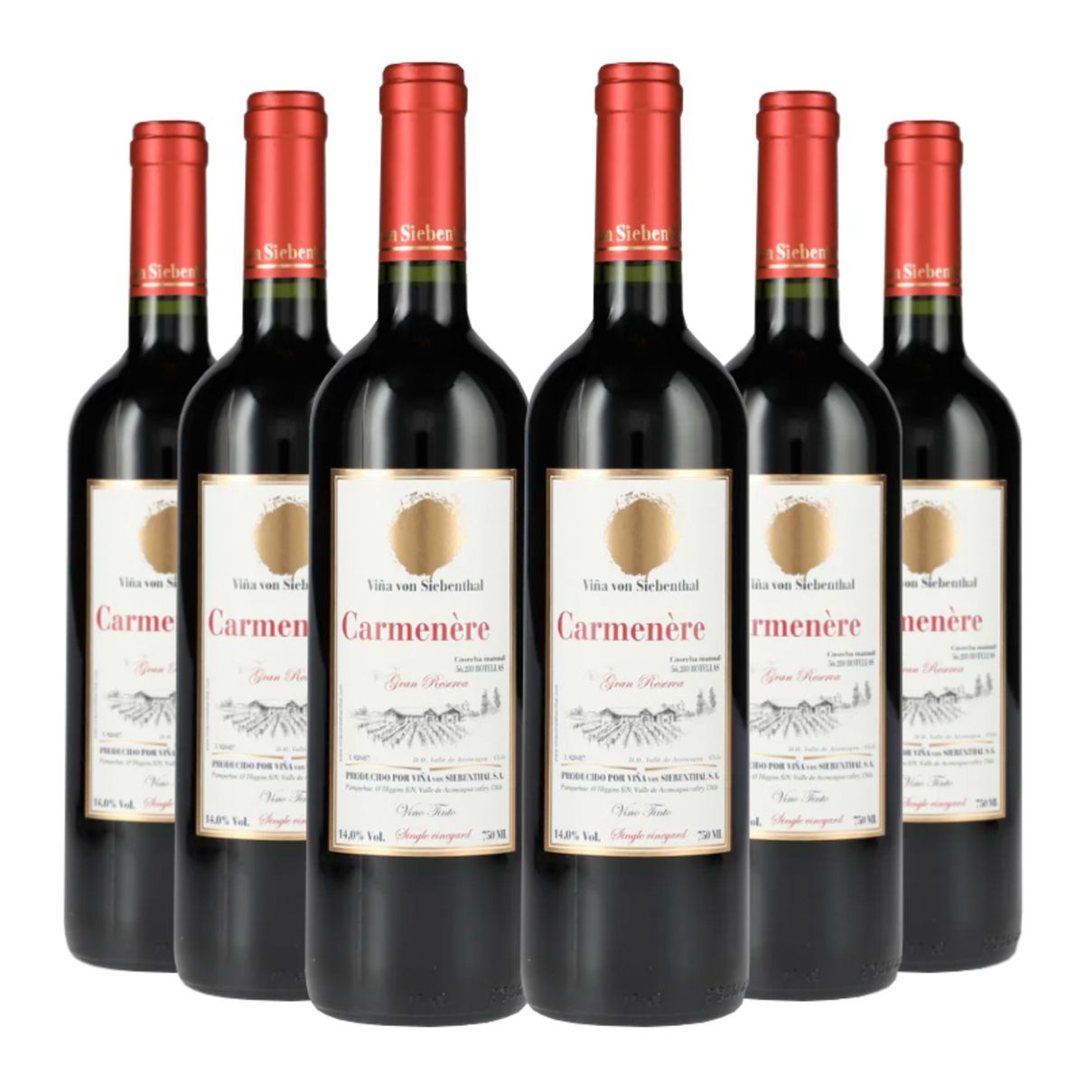 VON SIEBENTHAL - 6 Vinos Von Siebenthal Gran Reserva Carmenere