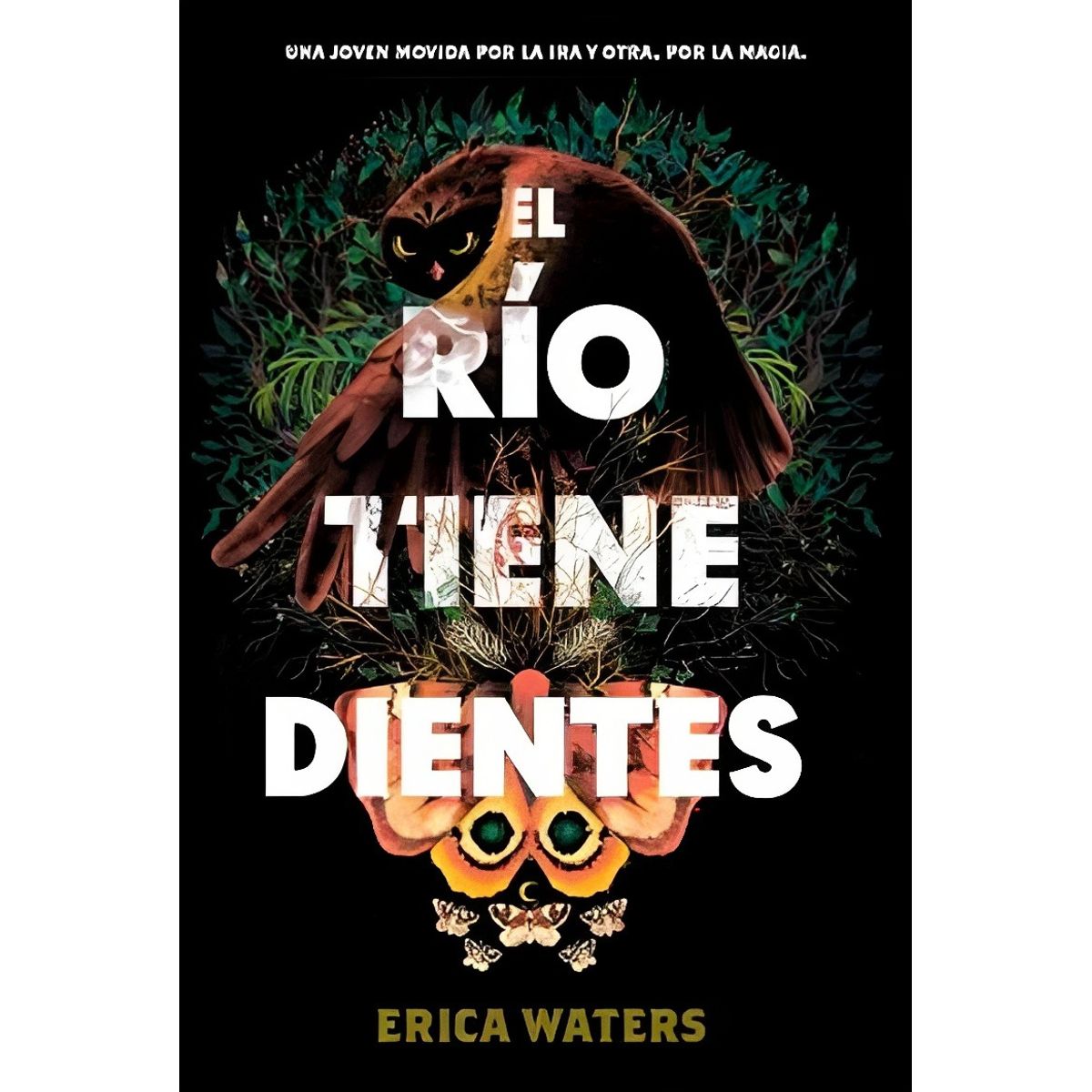 TOP10BOOKS - LIBRO El Rio Tiene Dientes - El Rio Tiene Dientes