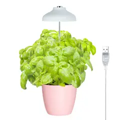 GROWLED - LUZ Led cultivo indoor para PLANTAS interior