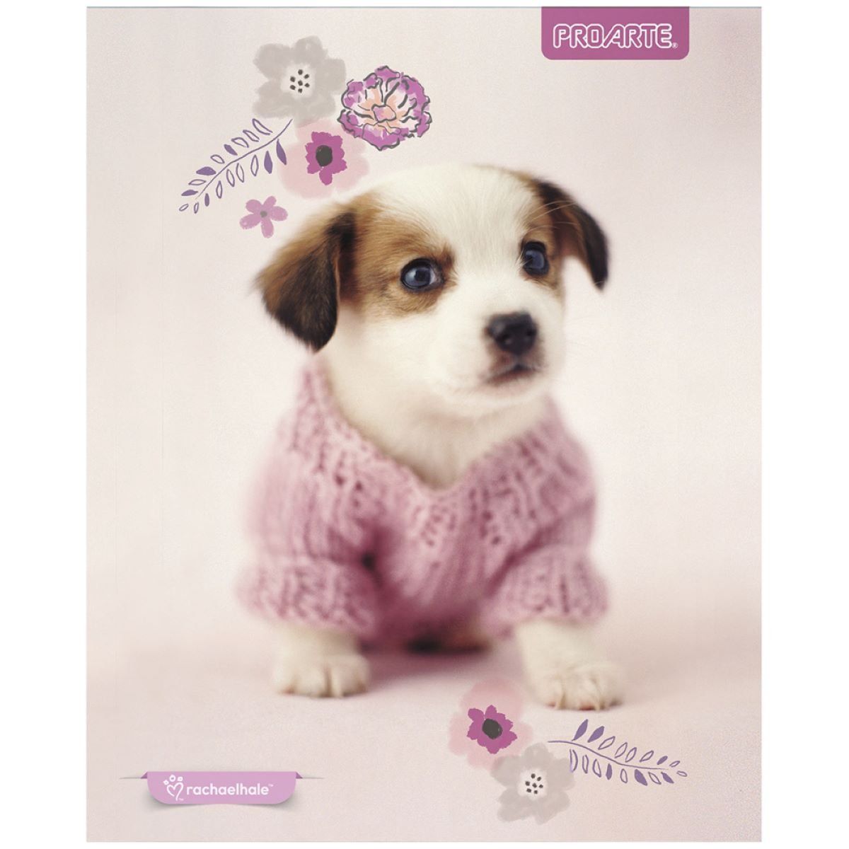 PROARTE - Cuadernos Proarte Rachaelhale 100 Hojas 7mm x 10 unidades