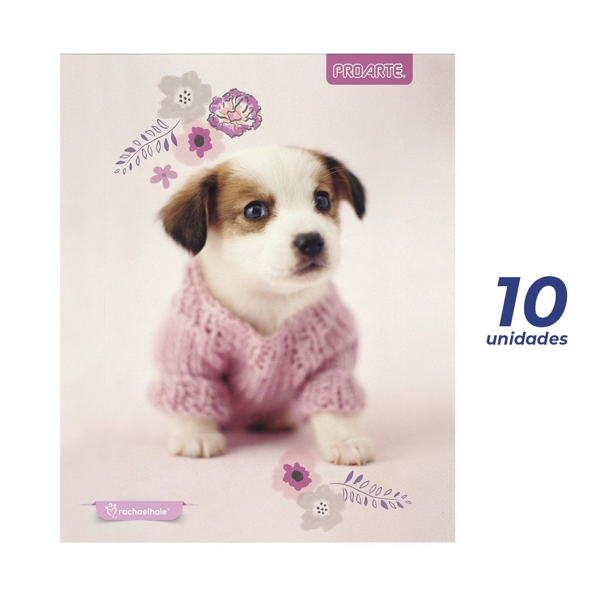 PROARTE - Cuadernos Proarte Rachaelhale 100 Hojas 7mm x 10 unidades