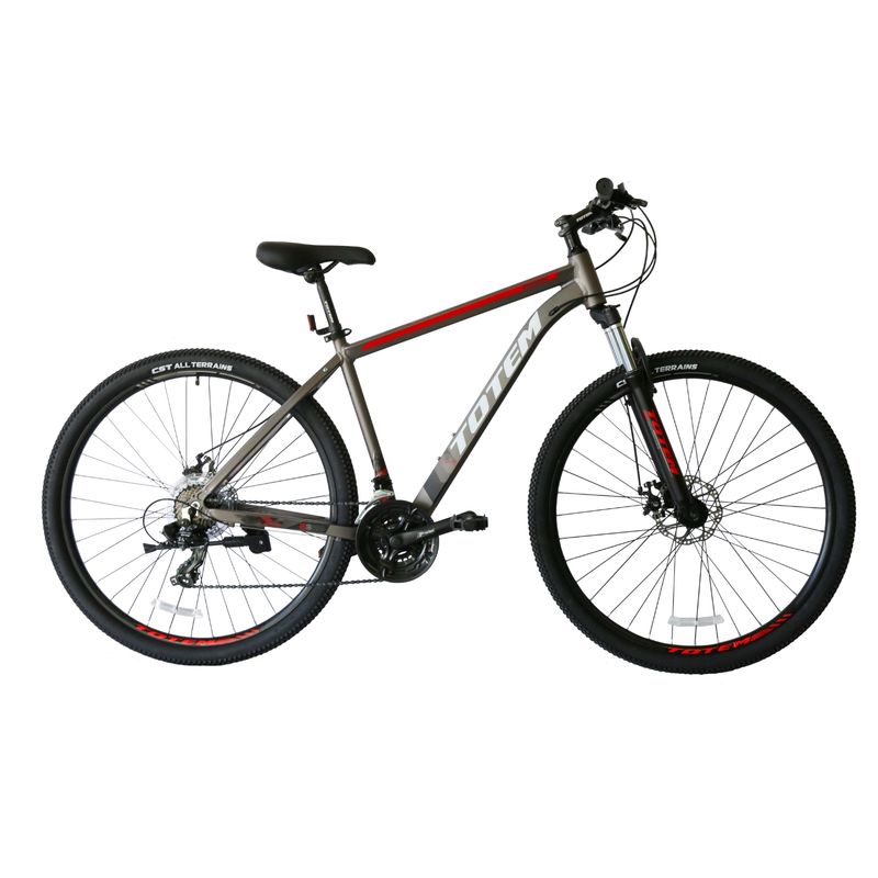 TOTEM - BICICLETA TOTEM MTB ARO 29*19 MOD W860 COLOR GRIS
