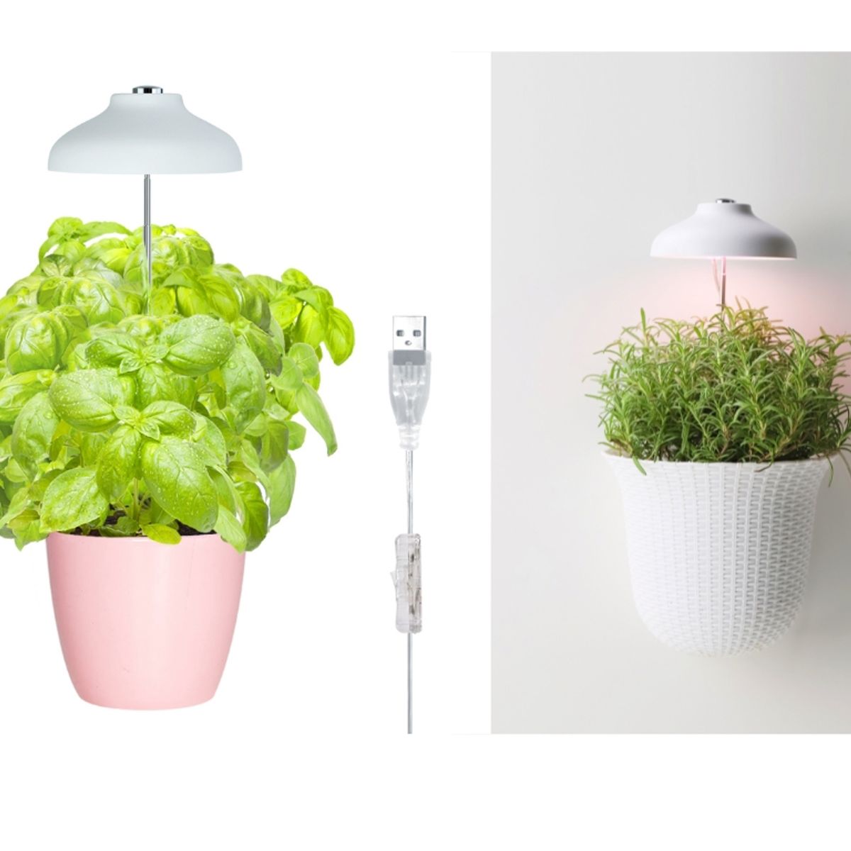 GROWLED - LUZ de cultivo indoor para PLANTAS interior X 2 pack GrowLED