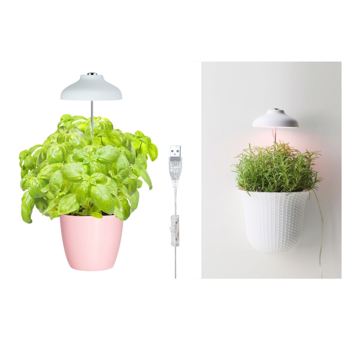 GROWLED - LUZ de cultivo indoor para PLANTAS interior X 2 pack GrowLED