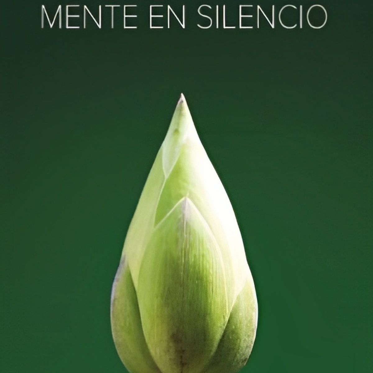 TOP10BOOKS - LIBRO MENTE EN SILENCIO /917