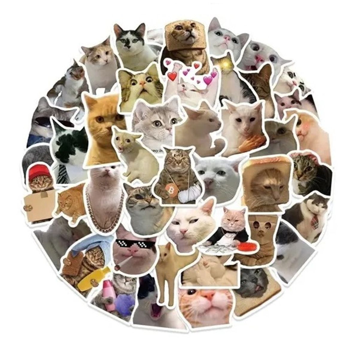 GARSIL - 50 Stickers Gatos Gatitos Michis - Etiquetas Autoadhesivas