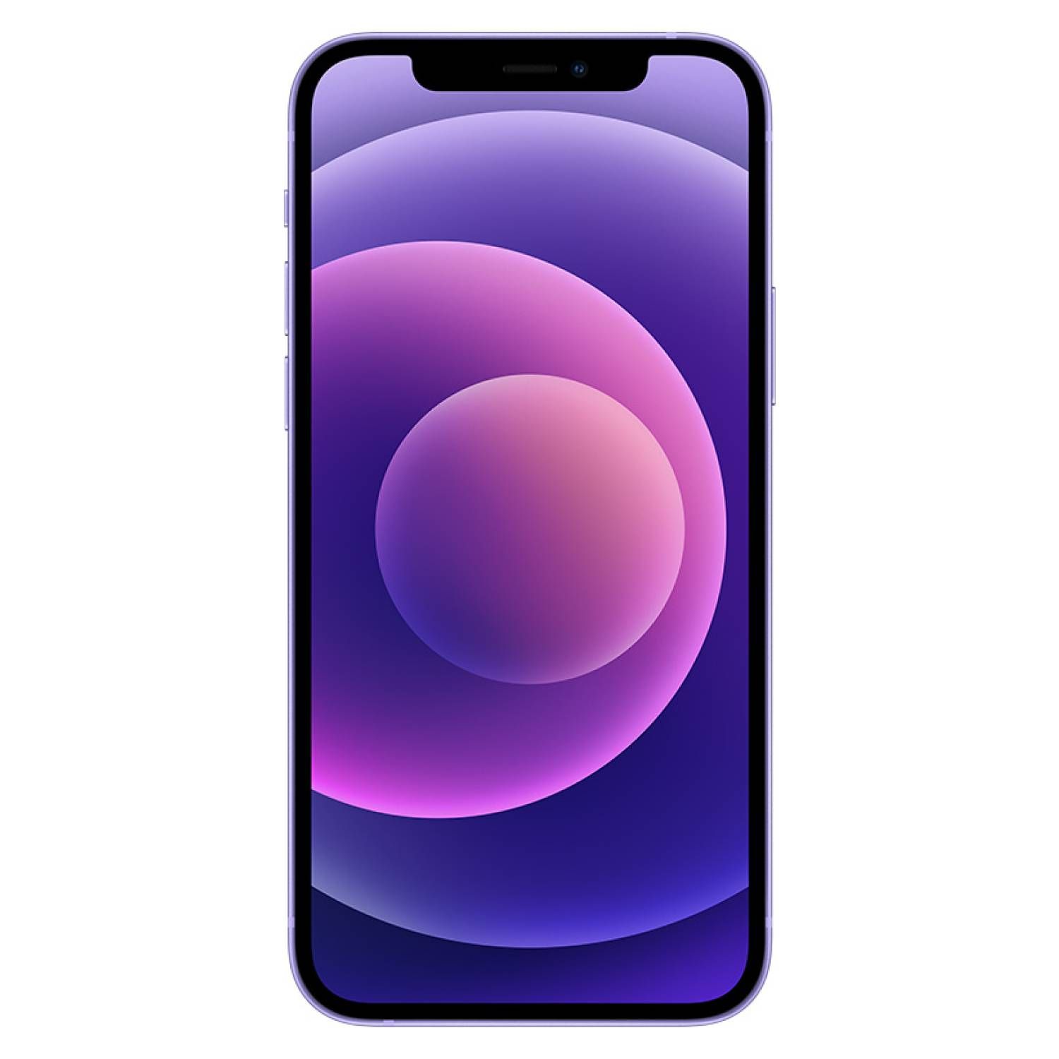 APPLE iPhone 12 64GB - Purpura - Reacondicionado | Falabella Chile